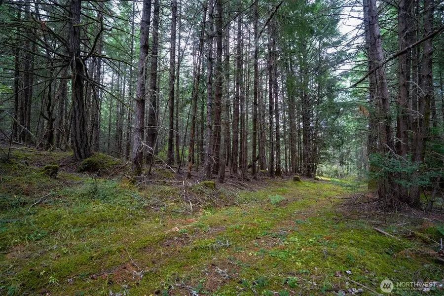 1087 Cady Mountain Road, San Juan Island, WA 98250 - #3