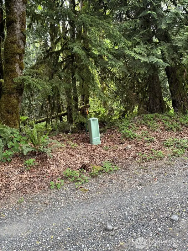 0 Upper Frost Creek Road #1, Maple Falls, WA 98266