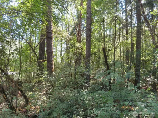 115 Campground Lane, Winlock, WA 98596