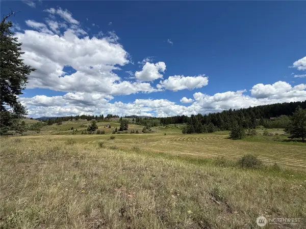 42 Tedesco Road #4, Republic, WA 99166