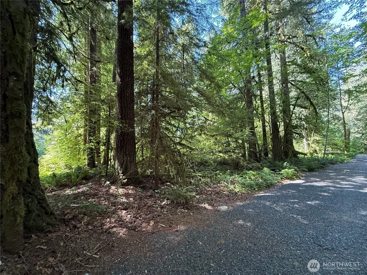 0 Silver Lake Road, Maple Falls, WA 98266 - #1