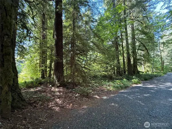 0 Silver Lake Road, Maple Falls, WA 98266