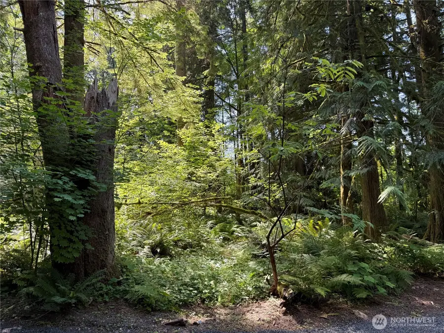 0 Silver Lake Road, Maple Falls, WA 98266 - #2