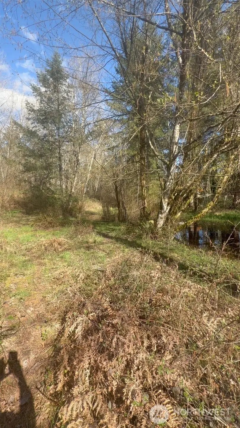 5842 137th Avenue Sw, Rochester, WA 98579 - #3