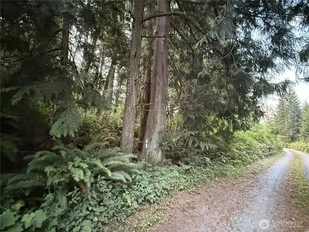 1 Bumgarner Road #1, Arlington, WA 98223 - #1