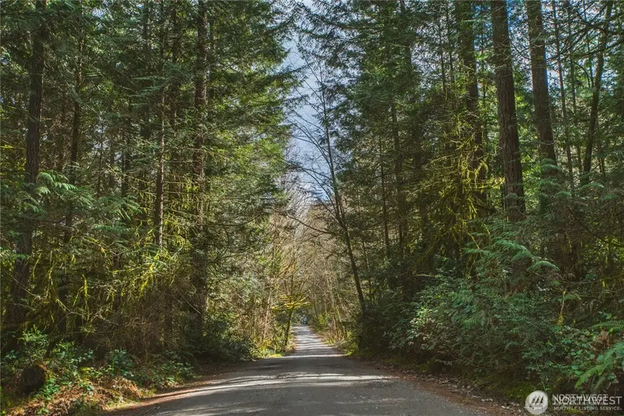 0 SW County Line Road, Port Orchard, WA 98367 - #2