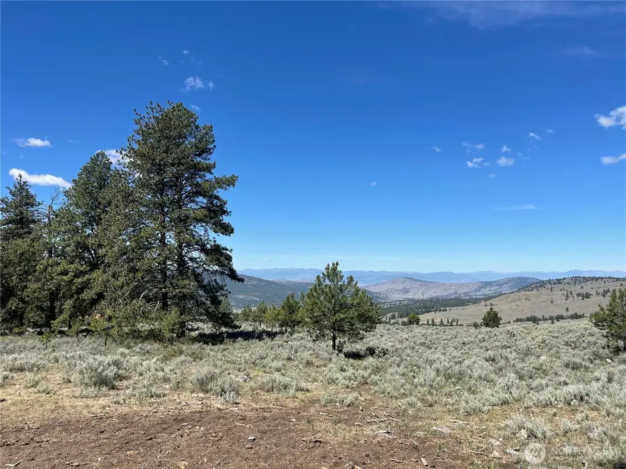 234 One Sky View Drive, Tonasket, WA 98855 - #2