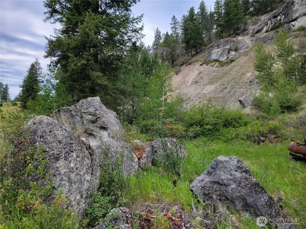 200 Toroda Creek Road, Curlew, WA 99118