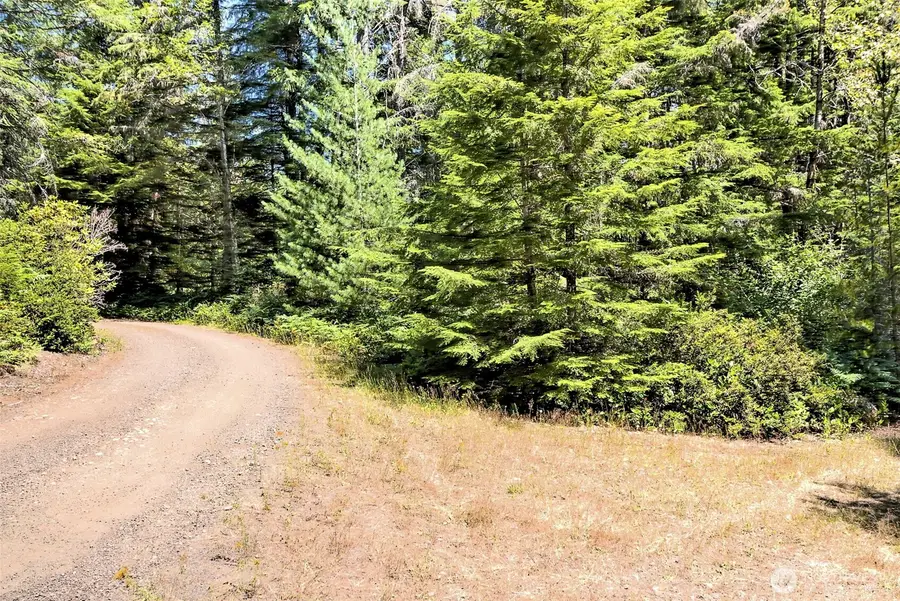 0 NE Eagle Creek Lane, Belfair Tahuya, WA 98528 - #3