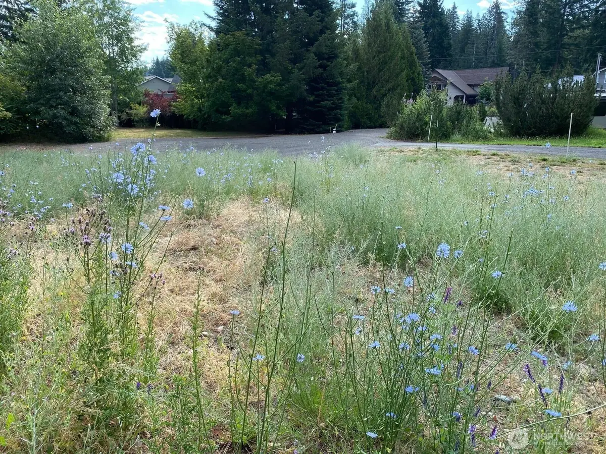 7 Kuhuku Court #7, Cle Elum, WA 98922 - #1