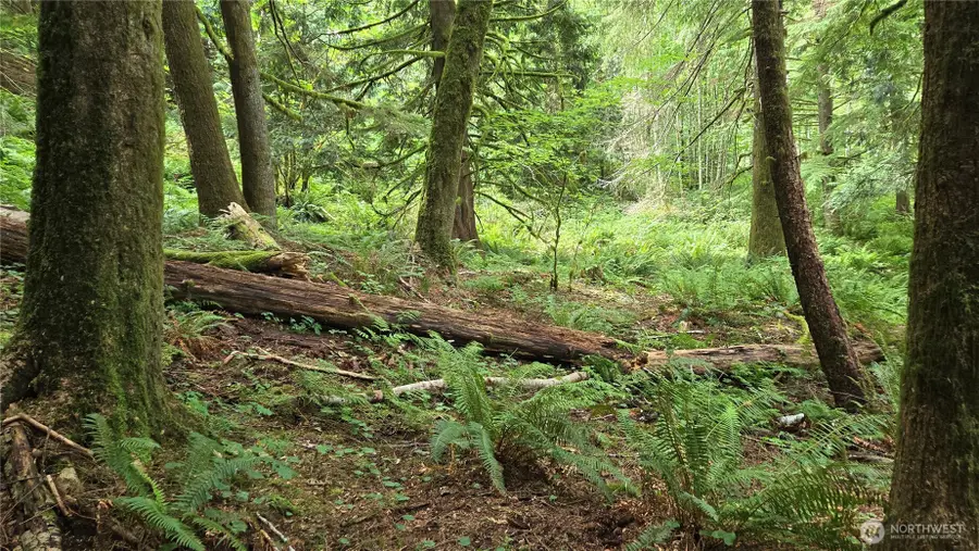 33317 SE Kent Kangley Road, Ravensdale, WA 98051 - #2