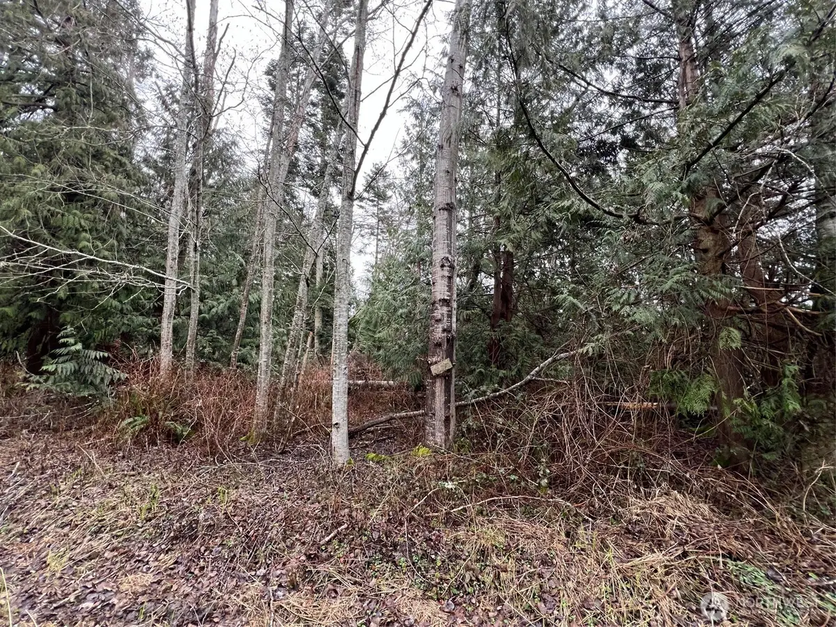 0 Rex Street #6, Point Roberts, WA 98281 - #1