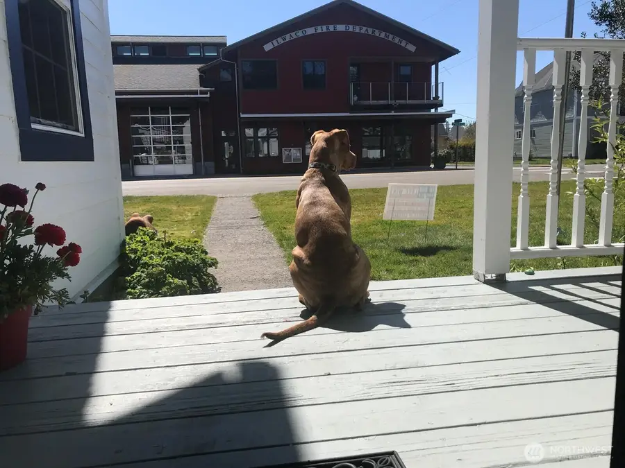 304 Spruce Street E, Ilwaco, WA 98624 - #3