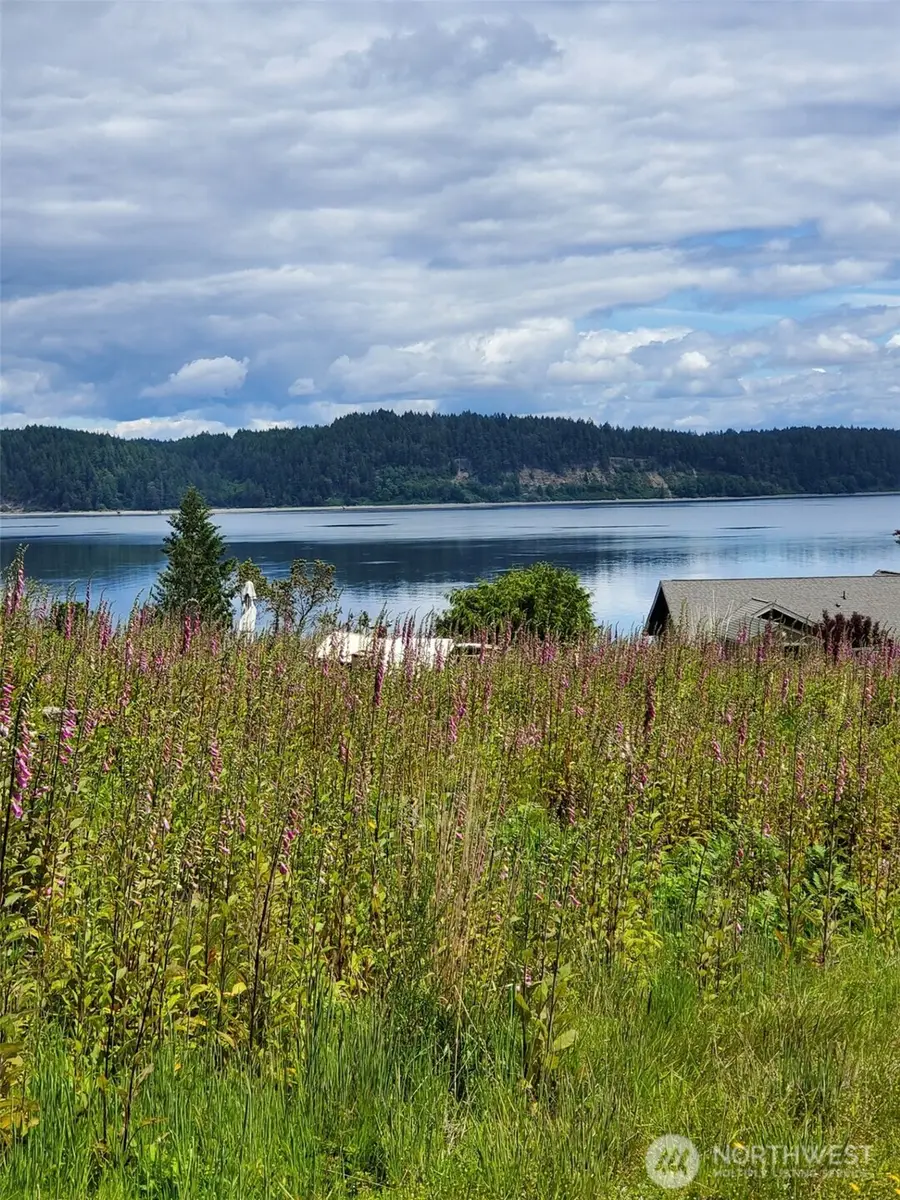 0 E Case View Way, Shelton, WA 98584 - #2