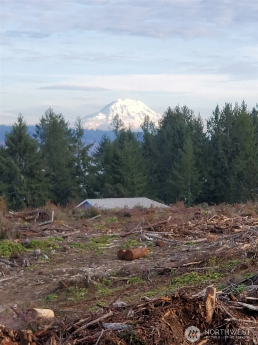 0 E Case View Way, Shelton, WA 98584 - #3