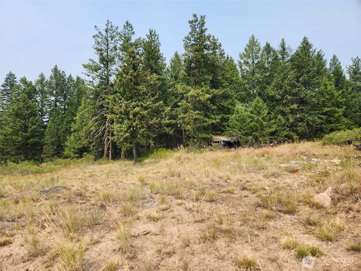 250 Union Ridge Road #Lots 158-161, Republic, WA 99166 - #1