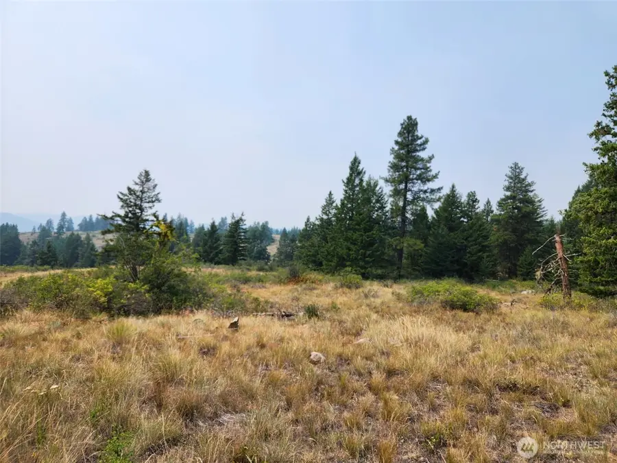 250 Union Ridge Road #Lots 158-161, Republic, WA 99166 - #2