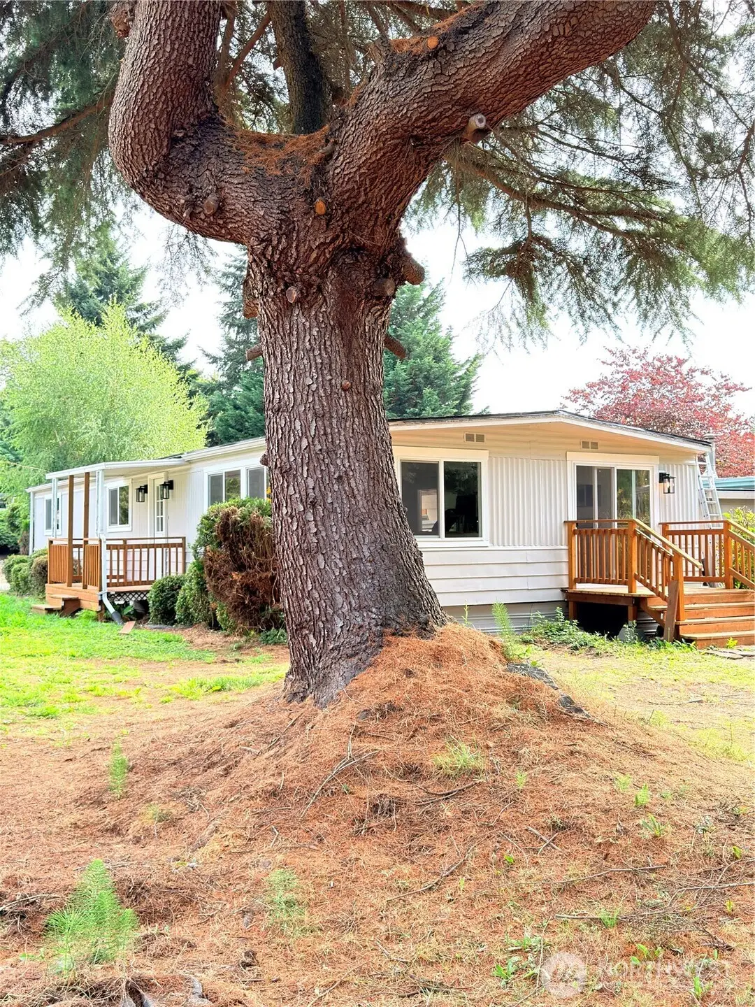 3111 28th St Ct E #3, Tacoma, WA 98443 - #1