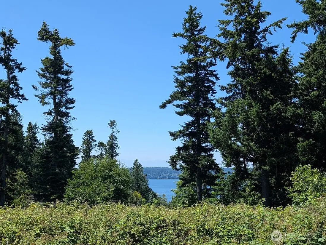4343 S Camano Drive, Camano Island, WA 98282 - #1
