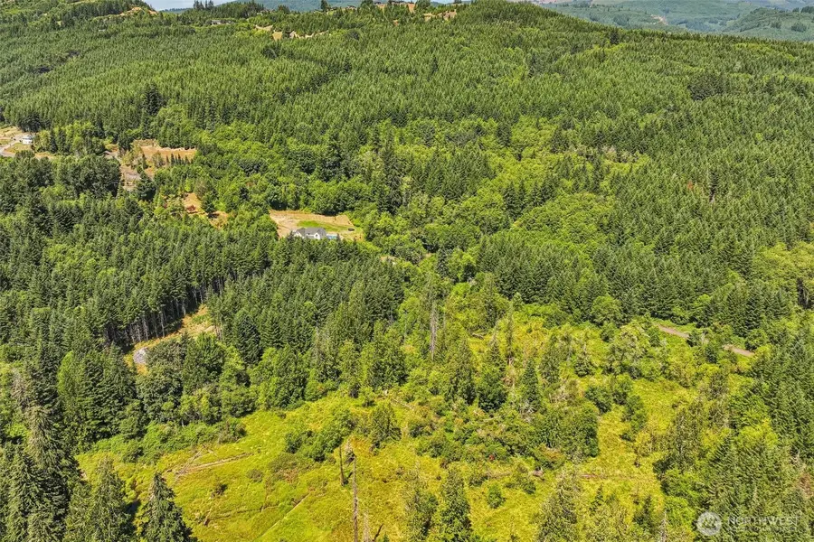 172 Mohawk Lane, Amboy, WA 98601 - #2