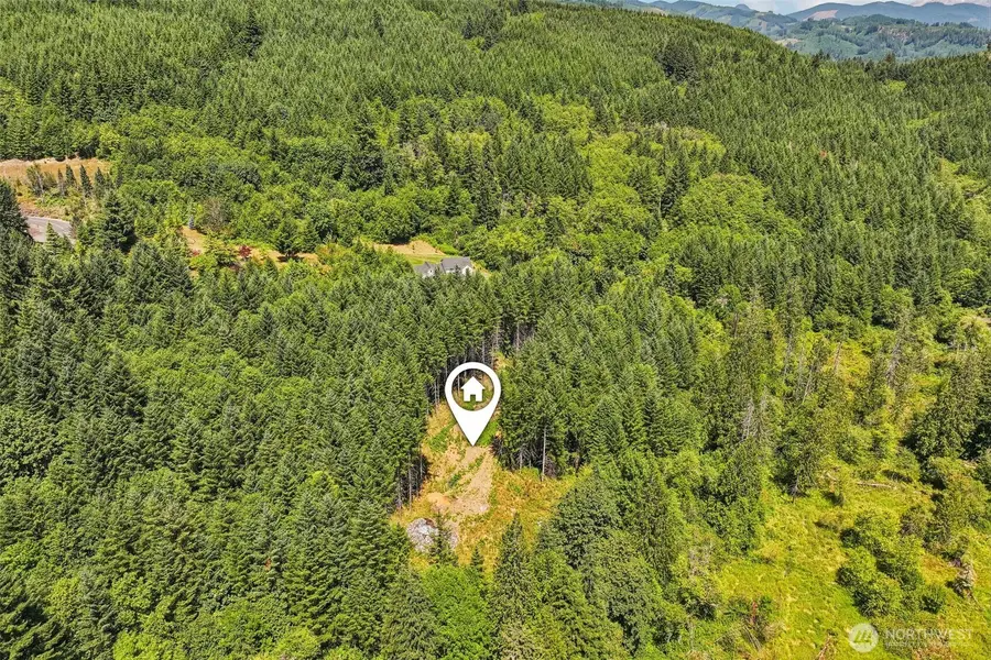 172 Mohawk Lane, Amboy, WA 98601 - #3