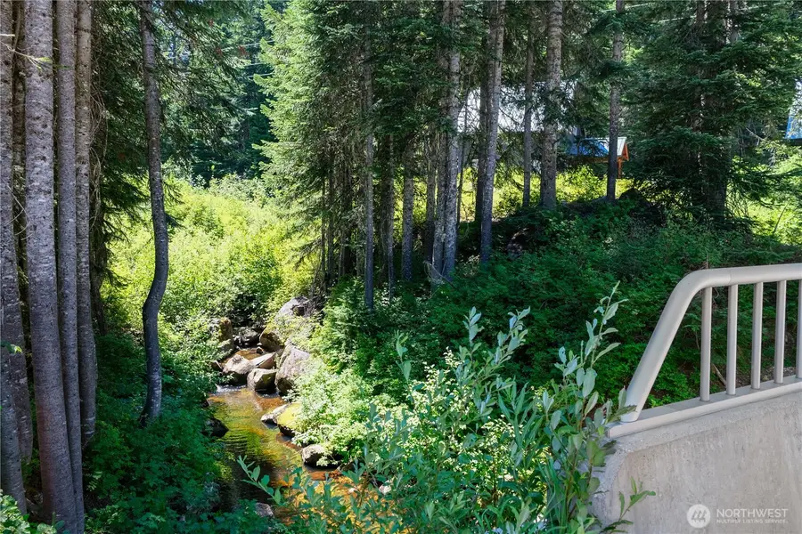34103 Stevens Road, Leavenworth, WA 98826 - #3