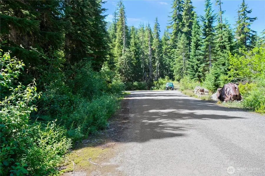 34383 S Nason Road, Leavenworth, WA 98826 - #3