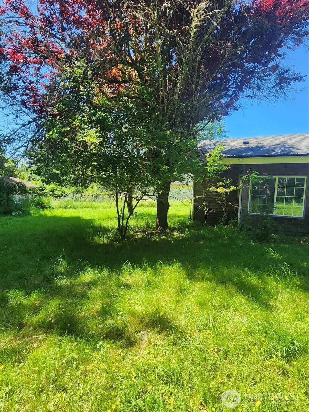 3902 Idaho Street #Metes and bounds, Bellingham, WA 98229 - #1