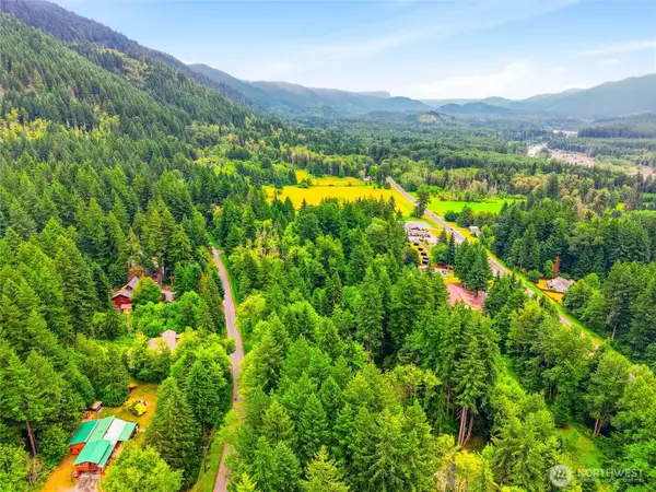 31418 Mount Tahoma Canyon Road E, Ashford, WA 98304