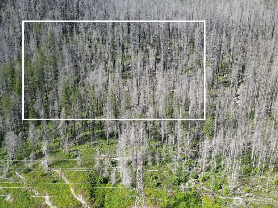 0 Skykomish Woods, Skykomish, WA 98288 - #2