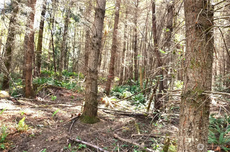 3 Romans Rd. Drive #3, Port Townsend, WA 98368 - #2