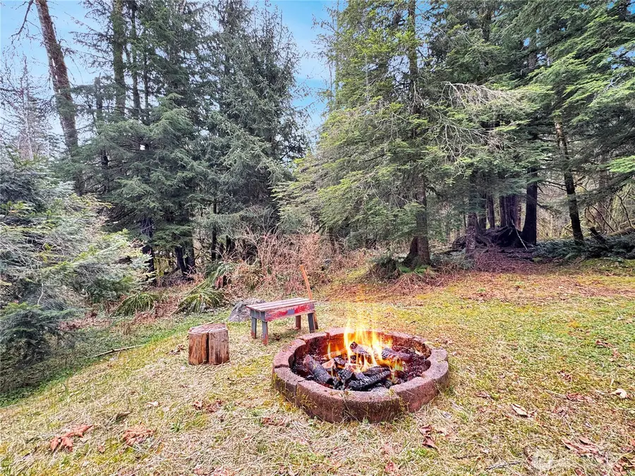 19 Big Tree Drive #19, Deming, WA 98244 - #3