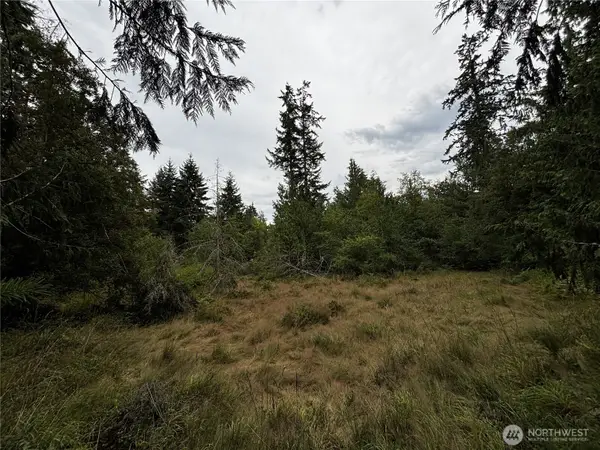 9999 S Bagley St, Port Angeles, WA 98362