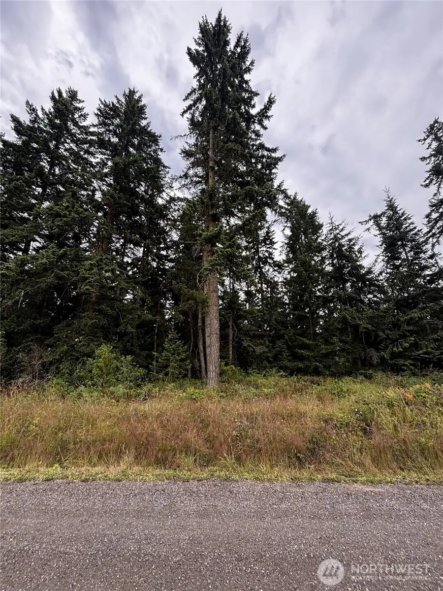 9999 S Bagley St, Port Angeles, WA 98362 - #2