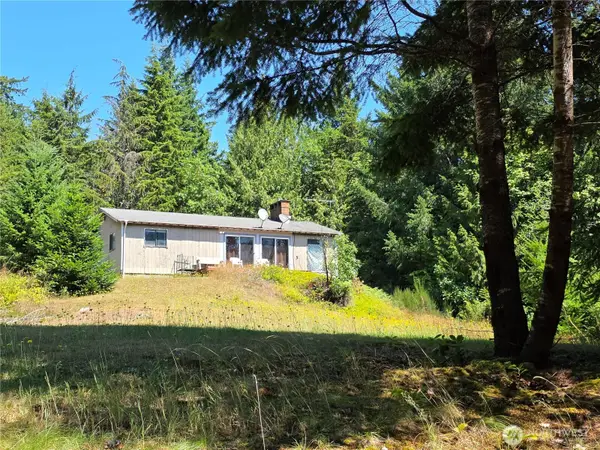 371 Green Mt Lane, Brinnon, WA 98320