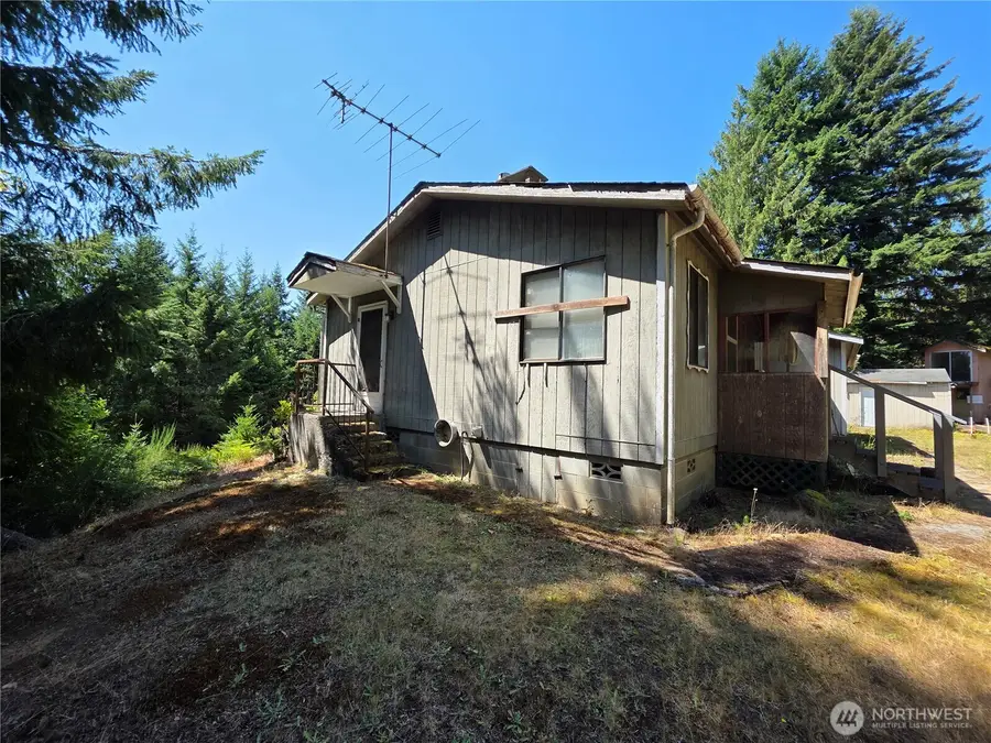 371 Green Mt Lane, Brinnon, WA 98320 - #3