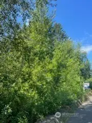 0 Lilly Road Ne, Olympia, WA 98506 - #2