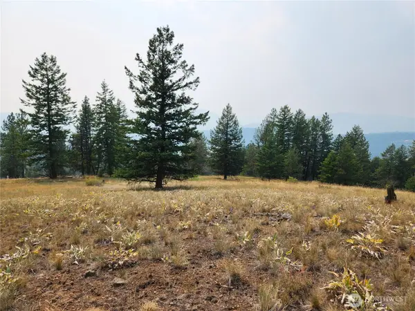 0 Rose Valley Road #Govt Lot 7, Republic, WA 99166