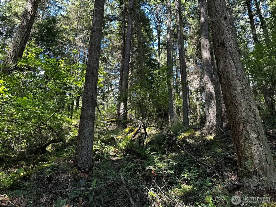 808 Roehl's Hill Rd. Road #3, Olga, WA 98245 - #2