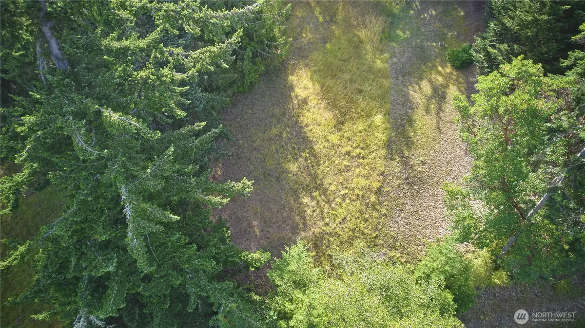 913 Fox Hollow Drive #Lot 3, Sequim, WA 98382 - #1