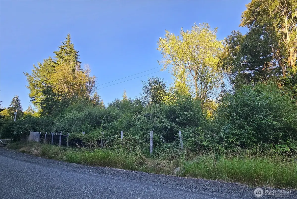 236 Porter Creek Road, Elma, WA 98541 - #1