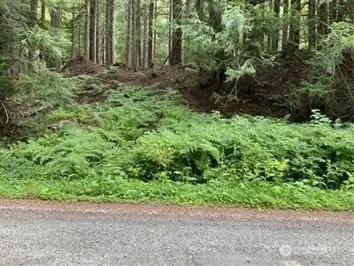 87426 NE Old Cascade Highway, Skykomish, WA 98288 - #1