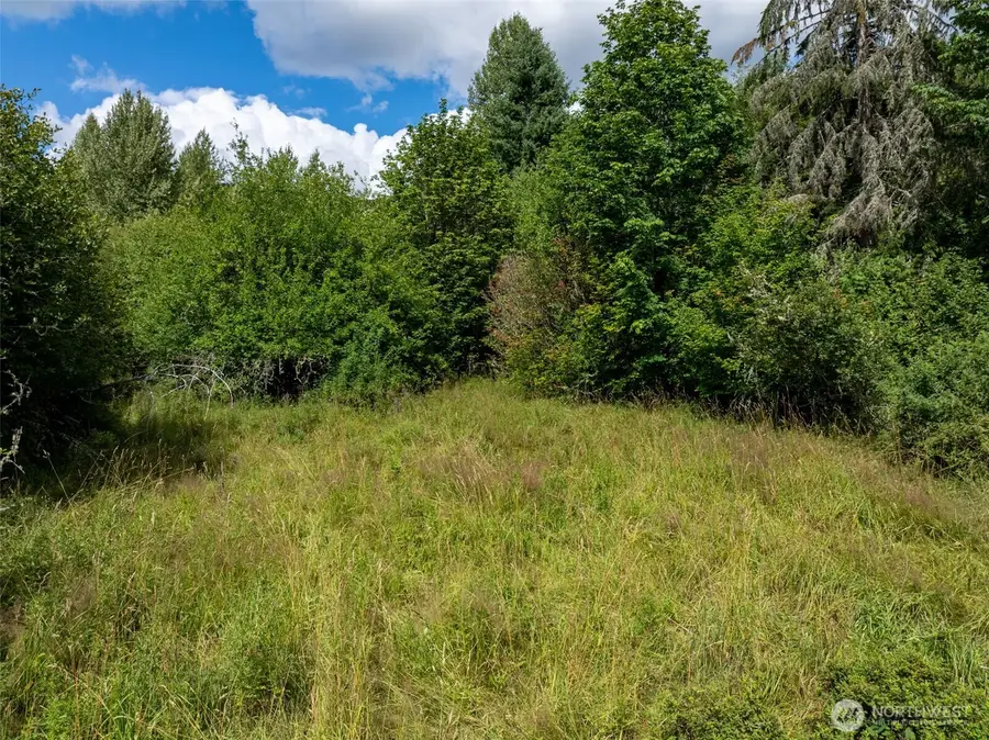 28909 State Route 706, Ashford, WA 98304 - #2