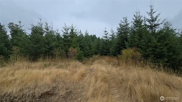 9207 Tract B Old Olympic Highway Nw, Olympia, WA 98502