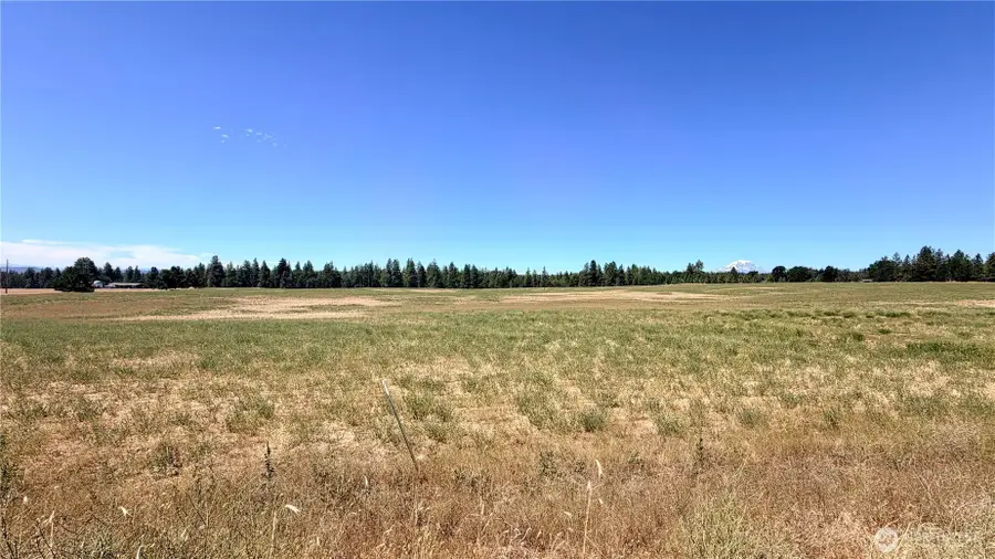15 Buena Vista Road #3, Goldendale, WA 98620 - #3