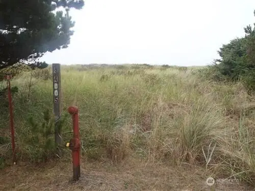 34005 G Street #47, Ocean Park, WA 98640 - #1