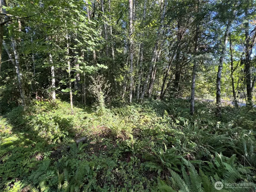 0 Old Pacific Highway, Castle Rock, WA 98611 - #2