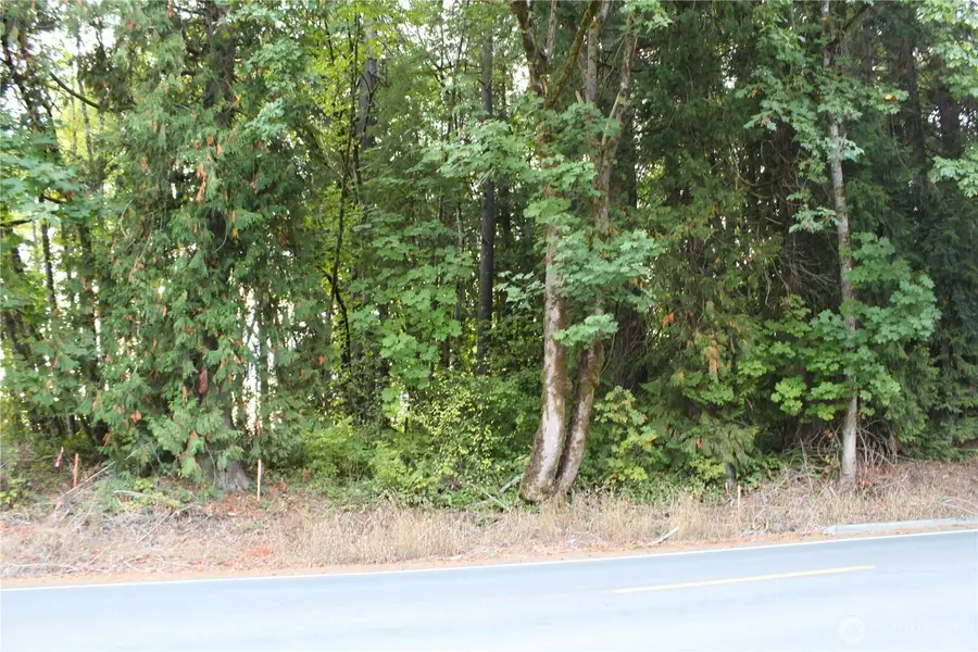 0 Old Pacific Highway, Castle Rock, WA 98611 - #2