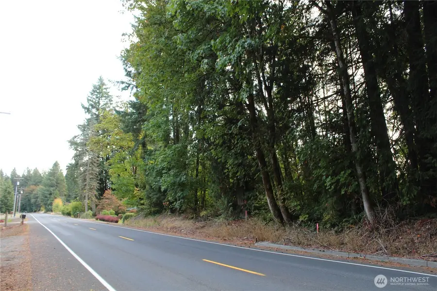 0 Old Pacific Highway, Castle Rock, WA 98611 - #3