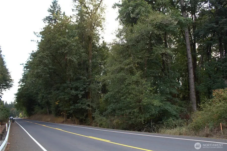 0 Old Pacific Highway, Castle Rock, WA 98611 - #3